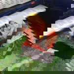 Hesty Wulandari profile icon