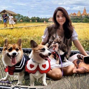 Mee Kirtibhakti profile icon