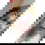 娜赖丽 profile icon