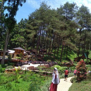 Restiana Selviati profile icon