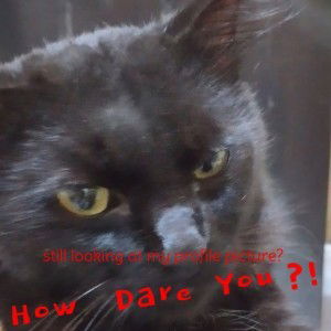 Ida Saja profile icon