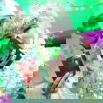 Meri Yulita profile icon