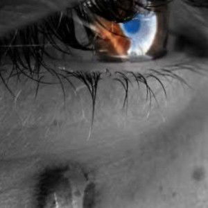 Nittha Herlina profile icon