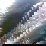Nhen'z Ortega Repe profile icon