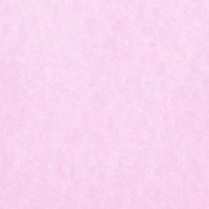 Nabilah Farihin profile icon