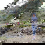 Shella Zuliardi profile icon