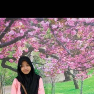 Sopiatun profile icon