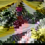 พุทธรักษา พรหมขวัญ profile icon