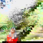 Divyashree Avinash Patil profile icon