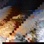 Nuraini Putri profile icon