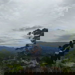 Safira Debahes profile icon