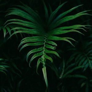 Em Mây profile icon