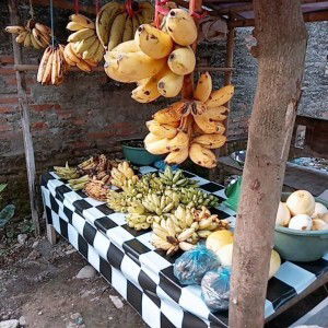 Bella Triyana profile icon