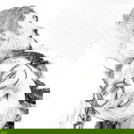 I'mama N'gam profile icon