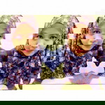 Decy Wahyu profile icon