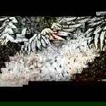 Anggrek Bulan profile icon