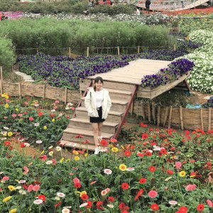 Phan Thơm profile icon