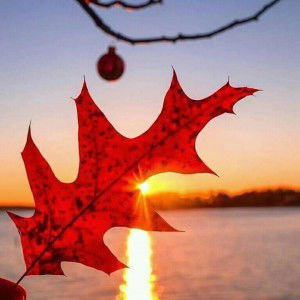 Dwi Amarta Saputrii profile icon