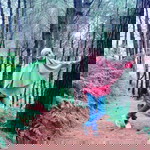 Nia Octavia profile icon