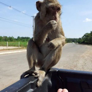 อย่าทิ้งกันเลย ขอร้อง profile icon