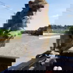 อย่าทิ้งกันเลย ขอร้อง profile icon