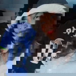 สายน้ำ อริยชน profile icon