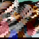 Nhalyn Tolentin profile icon