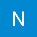Nur Arisha profile icon