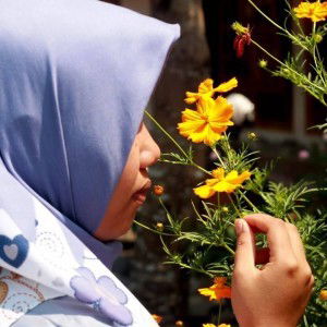 Hanna Tri Utami profile icon