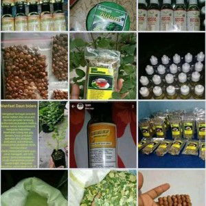 musdalifah profile icon