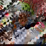 Ae Chantaporn profile icon