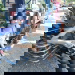 Sirintra Phioklom profile icon