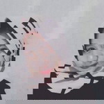 Indy Agstn profile icon