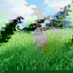 เค้าเรียกฉันว่า ความรัก profile icon