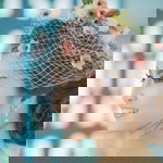 Aom Tongvongsa profile icon