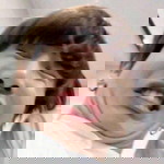 دوحنشح ا. منغدنغRohanisah amenoding profile icon