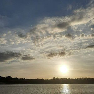 Lê Trần Cát Hồng profile icon