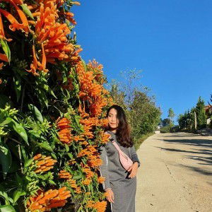 Punch Apple Suksawat profile icon