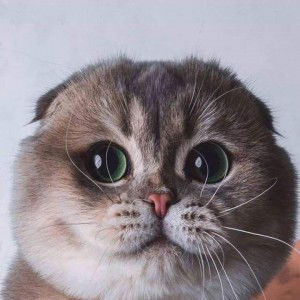 น้ำ' หวานนน profile icon