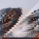 น้ำ' หวานนน profile icon