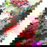 Nadia Lia profile icon