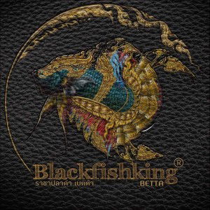 ราชาปลาดำ เบต้าสำลอง profile icon