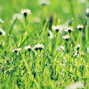 พัชรกนก แก้วชิน profile icon