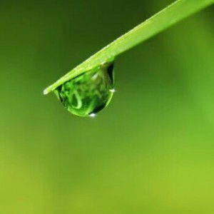 Andriningsih 154 profile icon