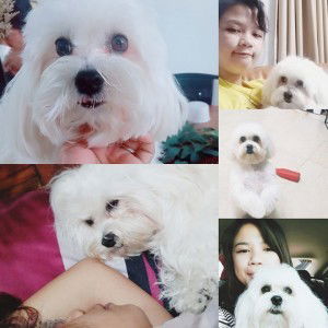 Galot  Abegail profile icon