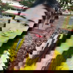 Anotharat Thongjumpa profile icon