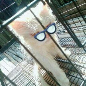 Vicha Sejava profile icon