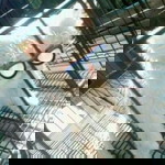 Vicha Sejava profile icon