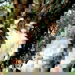 Putri Virgo profile icon