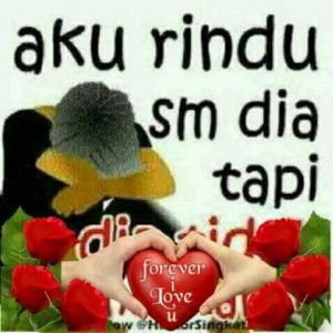 Fitri Ani profile icon